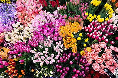 Devcom开发者大会从独立游戏奖、社交晚宴和讲者调查开始