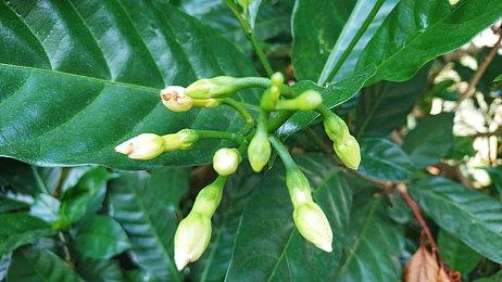 《完蛋！我被美女包围了！》上架抖音 限时优惠35.7元